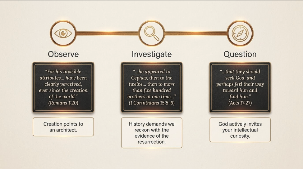 Visual card 11