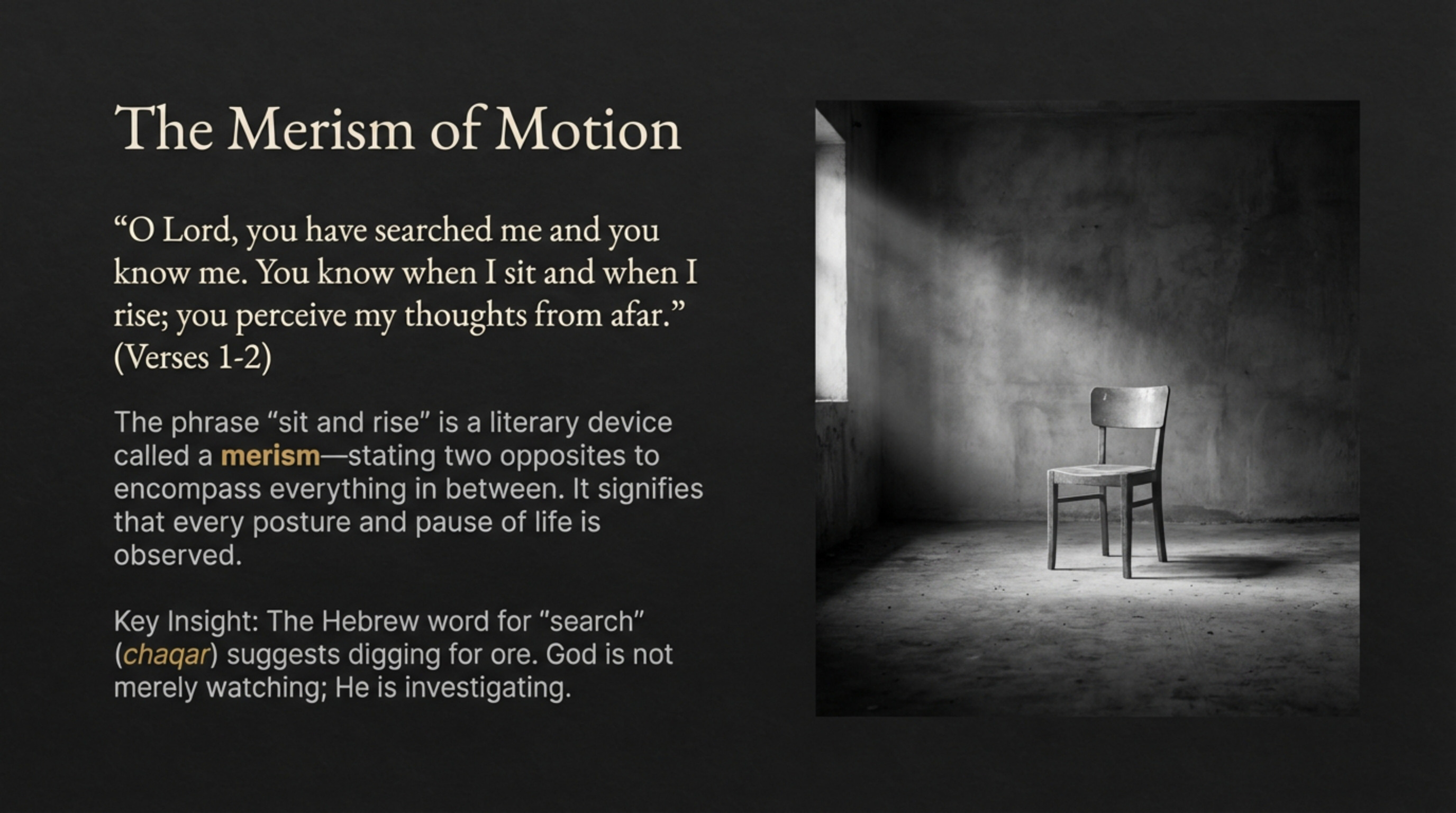 The Merism of Motion