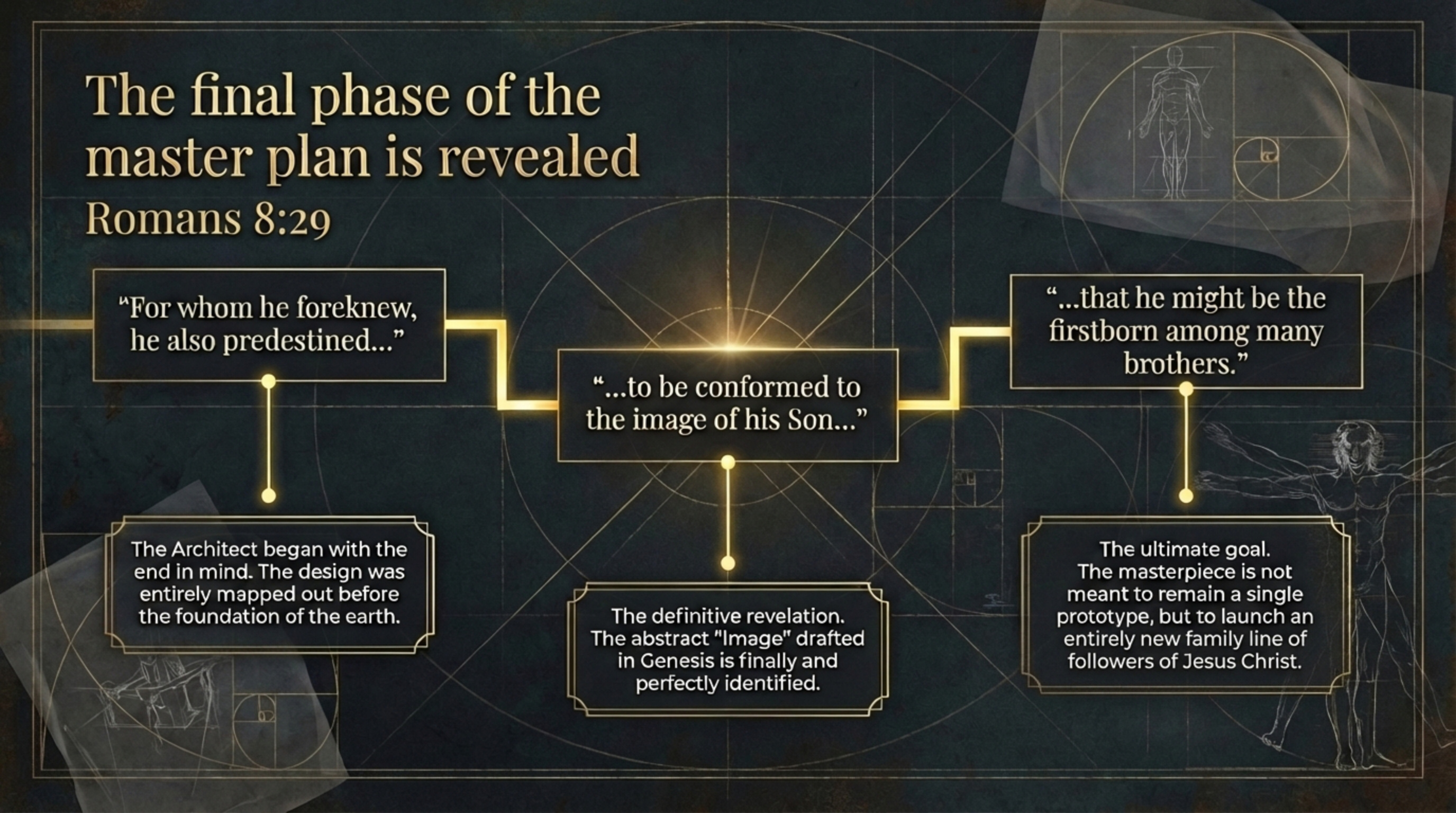 Visual Study Card — Slide 6