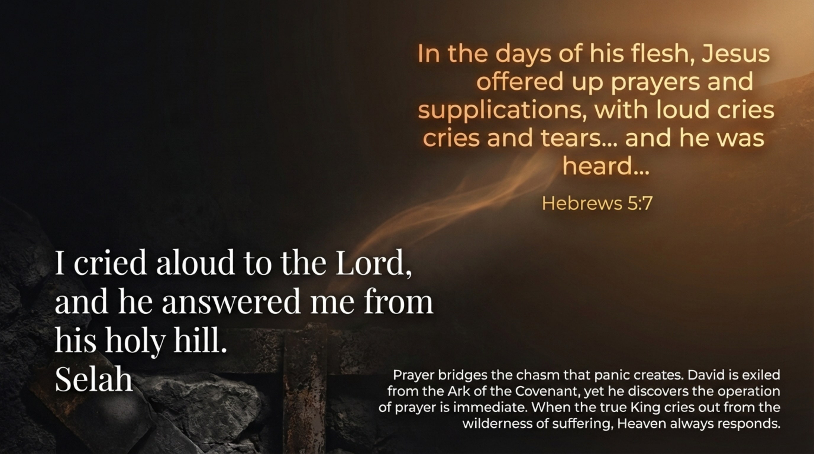 Visual Study Card — Slide 4