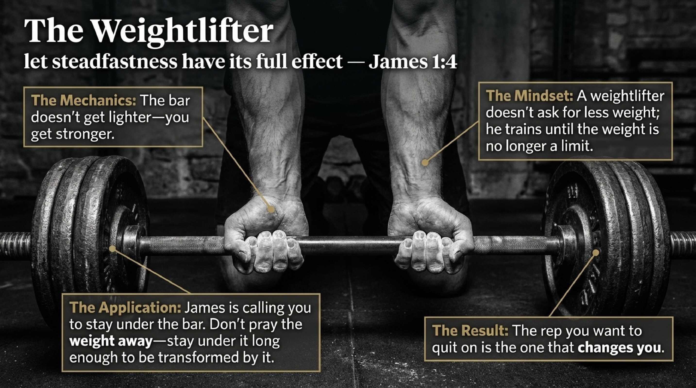 Visual Study Card — Slide 5