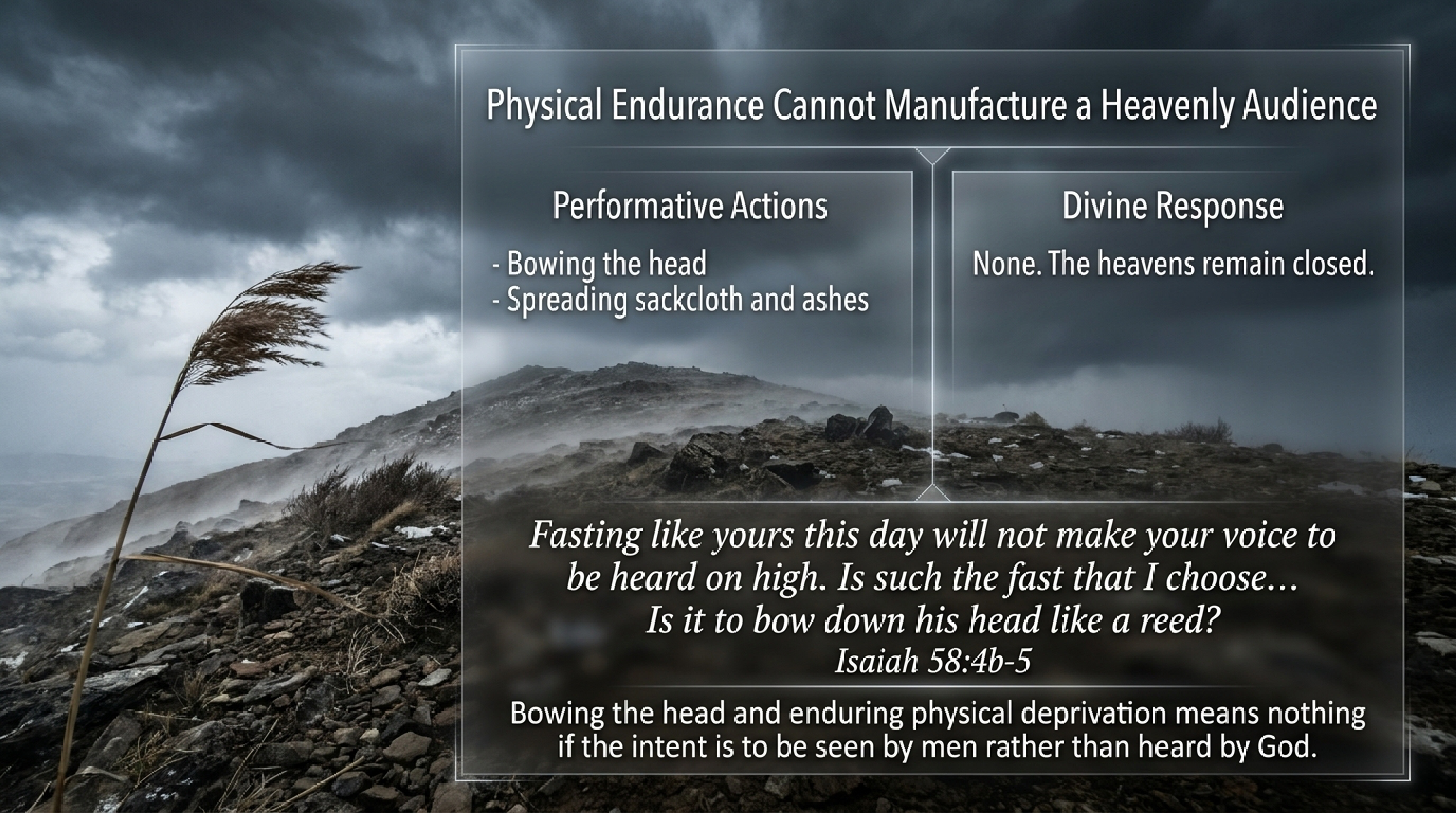 Visual card 5